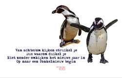 versjevanVERS!_nieuwjaar_pinguins Achterkant/Voorkant